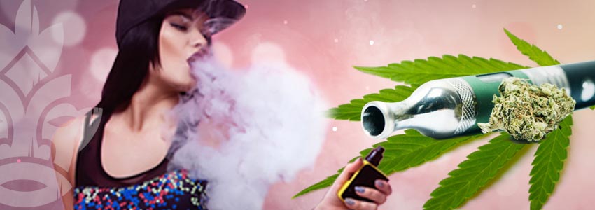 VAPORISEZ LES FEUILLES cannabis